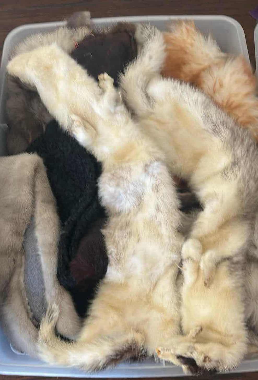 Photo 1 of CONTENTS OF 3 PLASTIC CONTAINERS FURRY FABRIC SOME ANIMAL