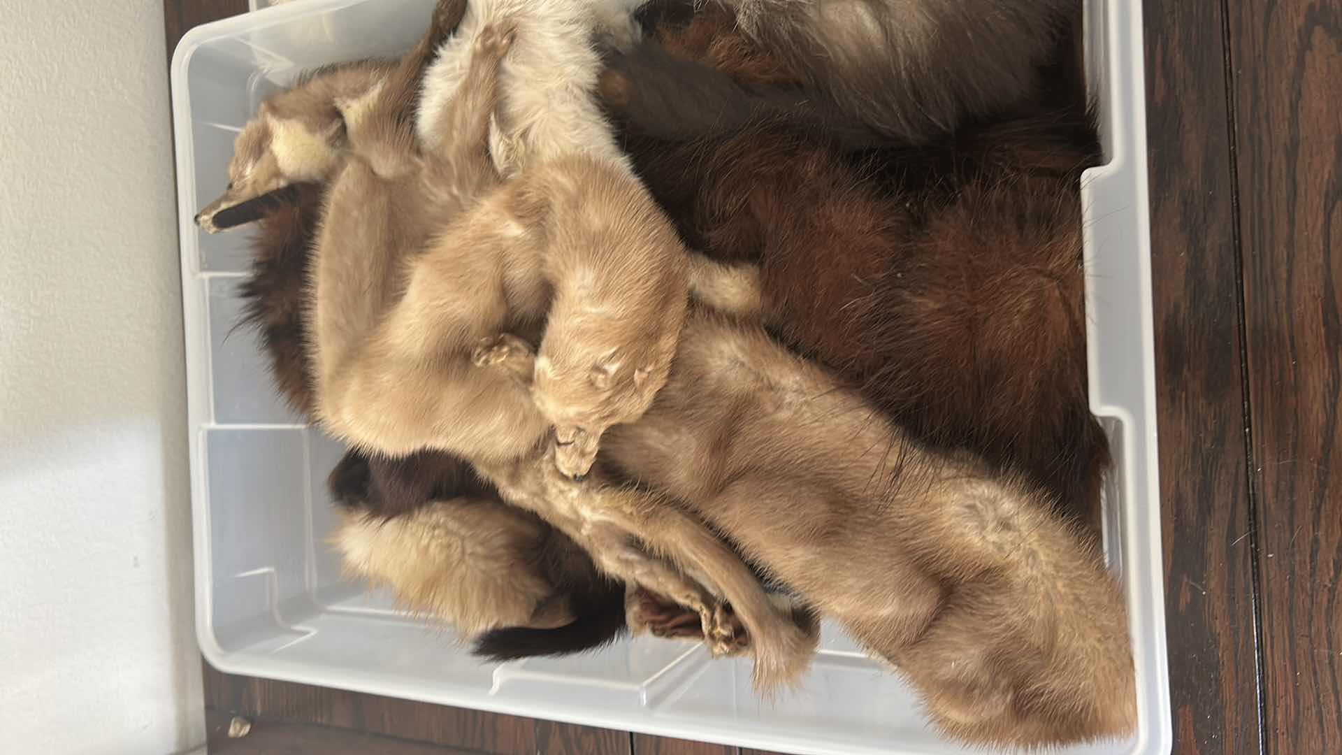 Photo 1 of CONTENTS OF 3 PLASTIC CONTAINERS FURRY FABRIC SOME ANIMAL
