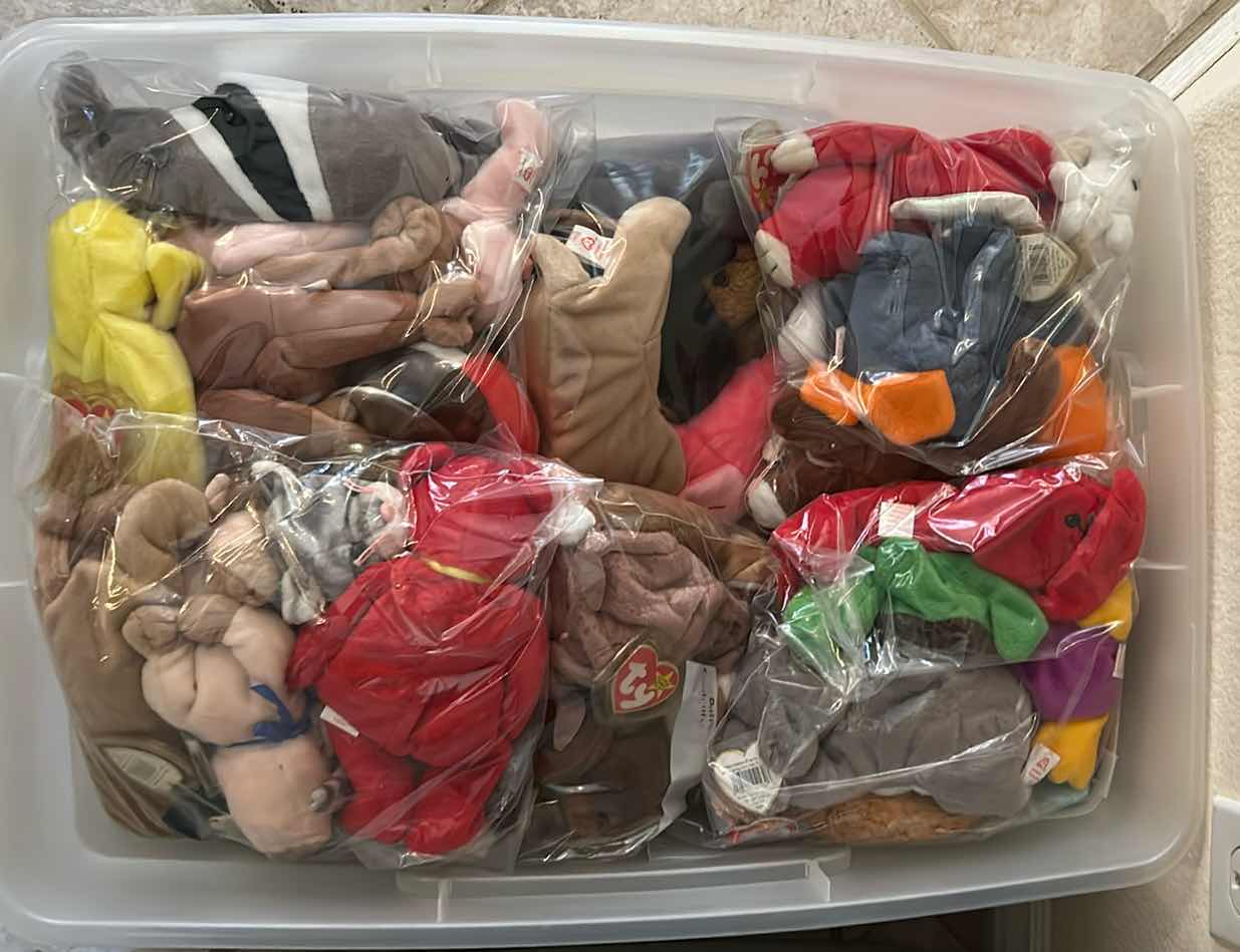 Photo 1 of Beanie Babies
