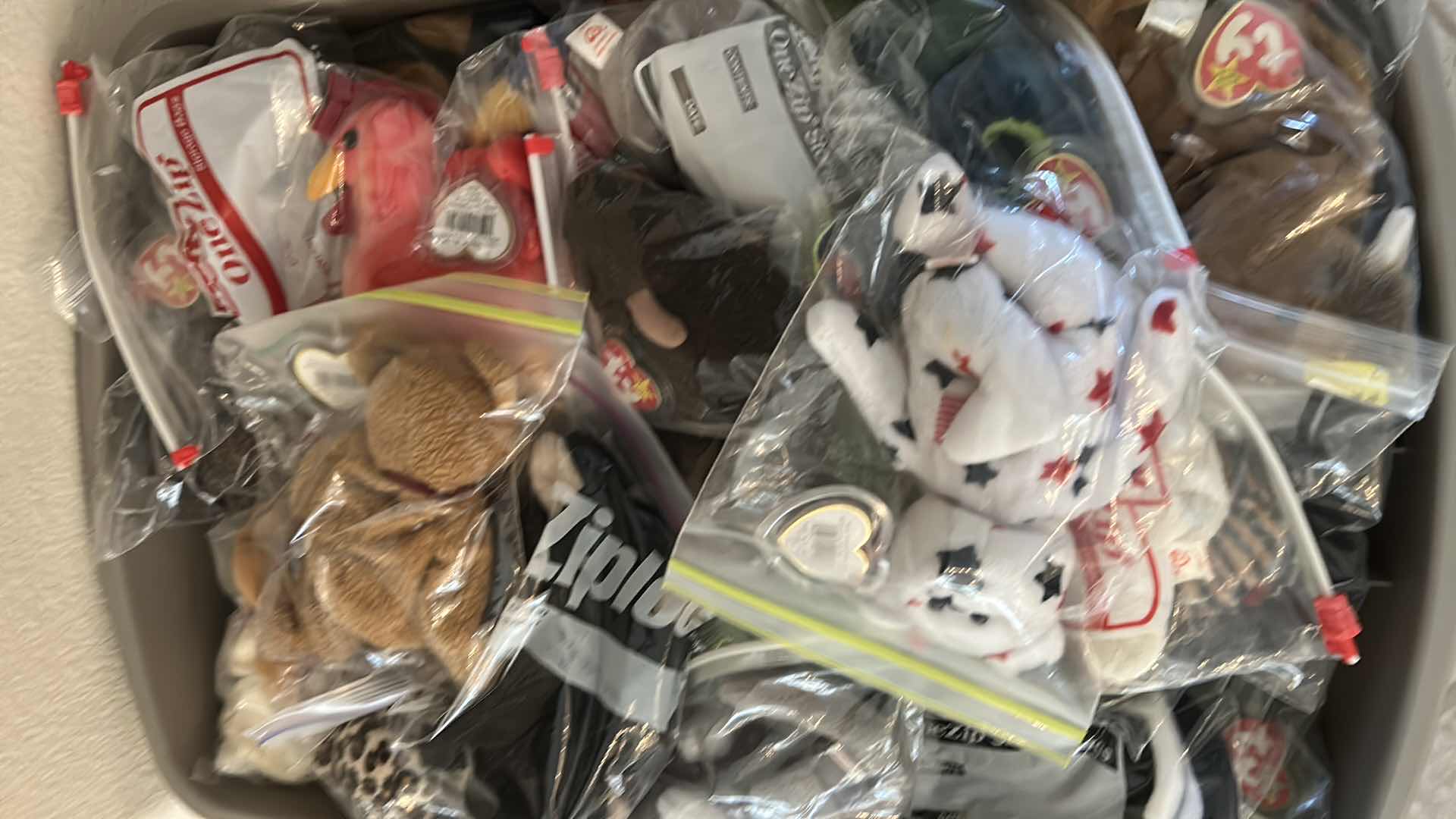 Photo 1 of Beanie Babies