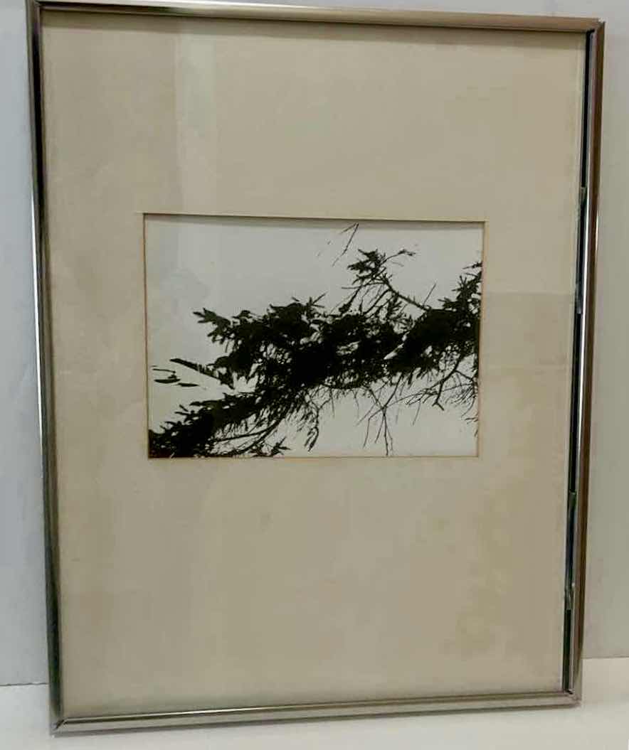 Photo 4 of SILVER FRAMED, BLACK AND WHITE INK ARTWORK 14 1/2 x 18 1/2