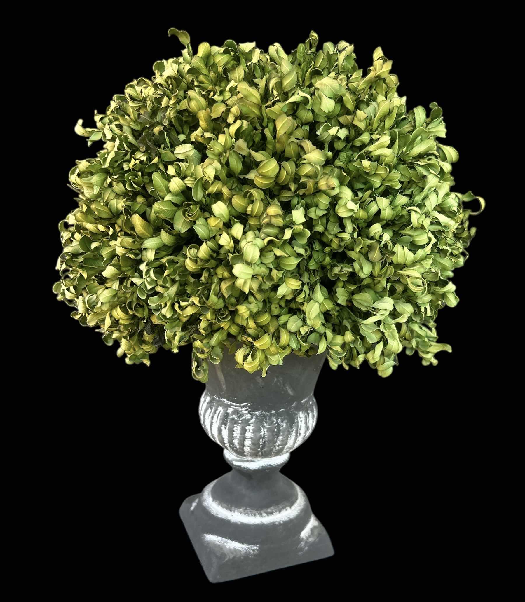 Photo 1 of TOPIARY PLANT HOME DECOR W 12” H 17”