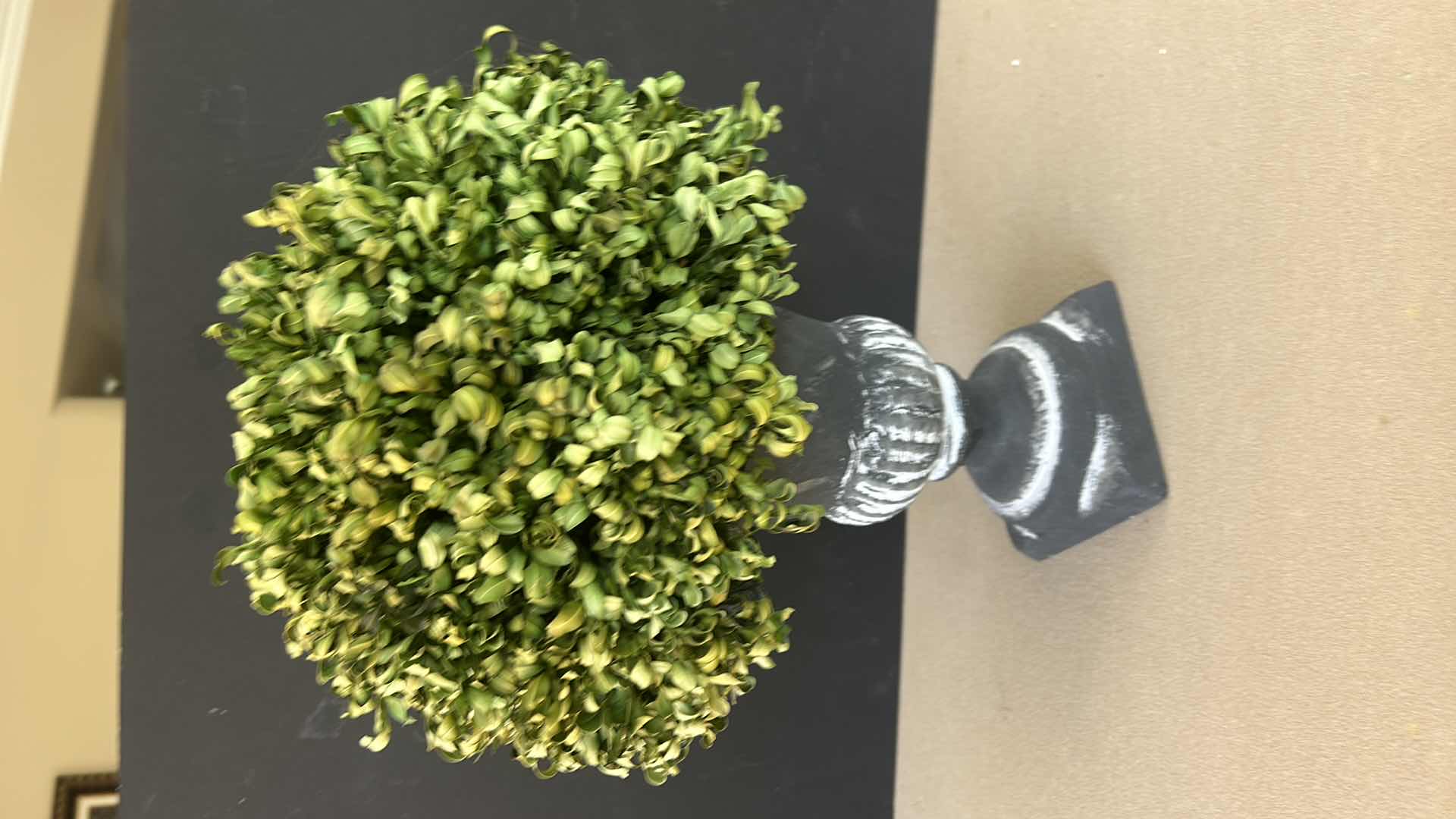 Photo 1 of TOPIARY PLANT HOME DECOR W 12” H 17”
