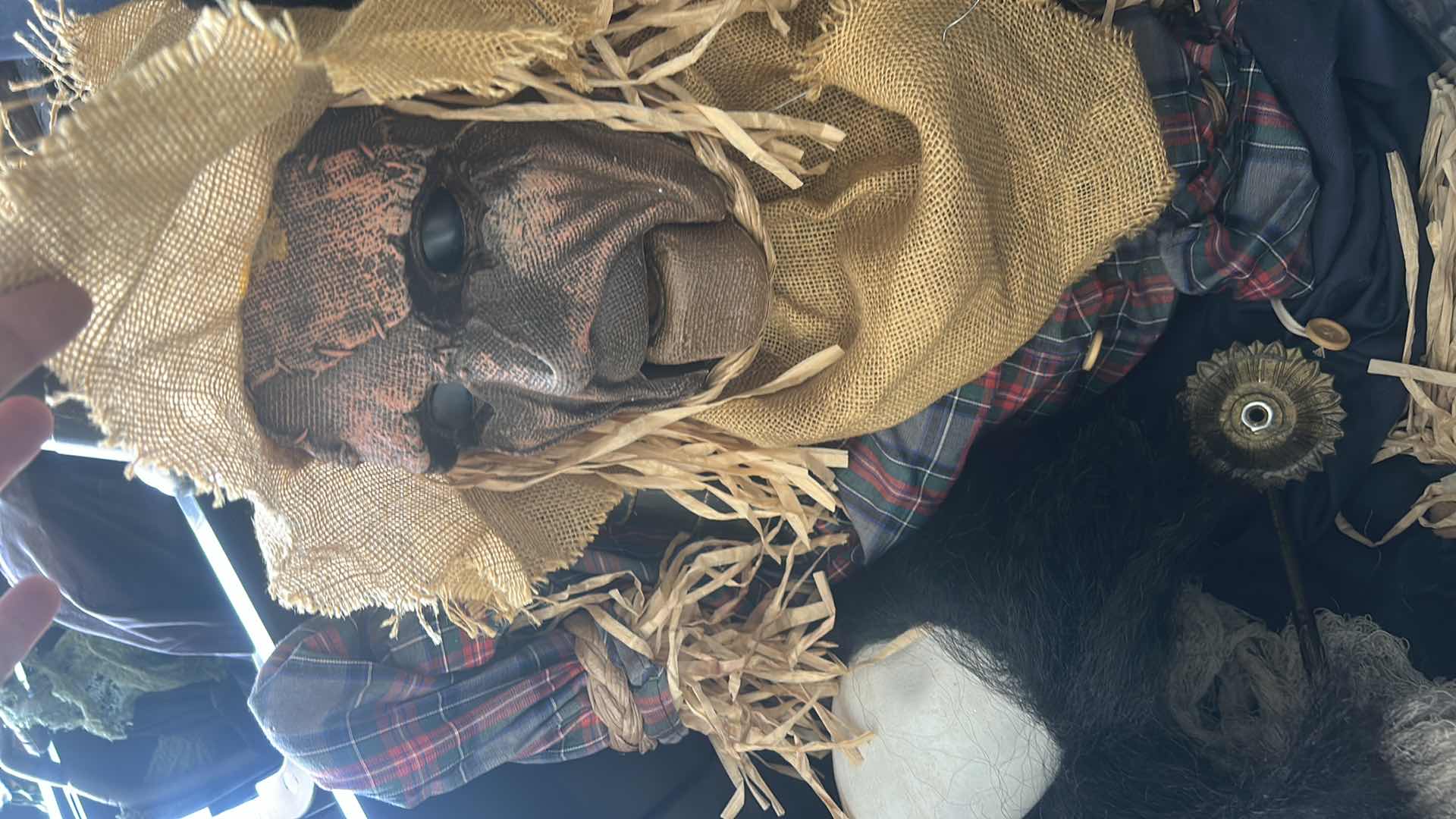 Photo 1 of TOTE- SCARY HALLOWEEN DECORATIONS
