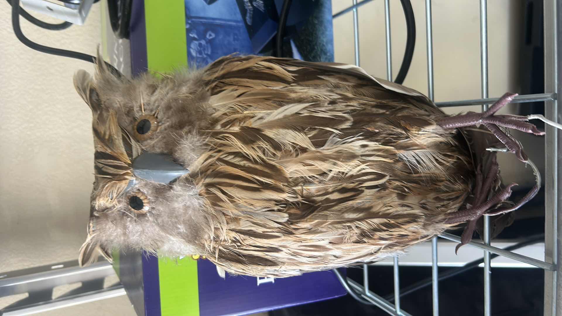 Photo 1 of TOTE- SCARY HALLOWEEN DECORATIONS/ 2 LARGER THAN LIFE SIZE GHOULS AND LIFE SIZE OWL