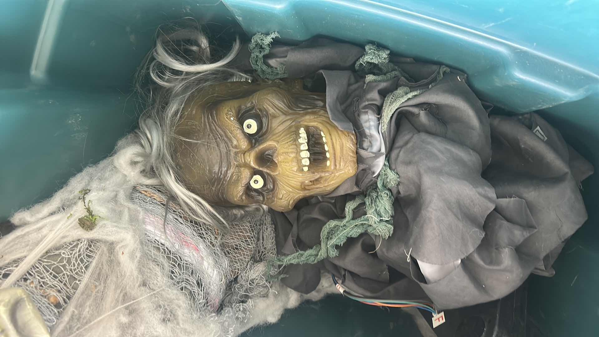 Photo 1 of TOTE- SCARY HALLOWEEN DECORATIONS
