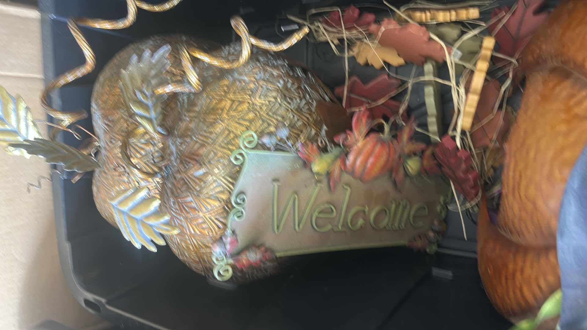 Photo 1 of TOTE-  HALLOWEEN DECORATIONS