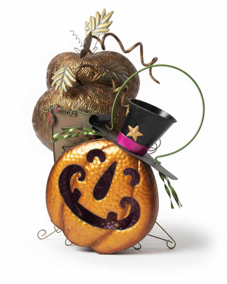 Photo 1 of TOTE-  HALLOWEEN DECORATIONS