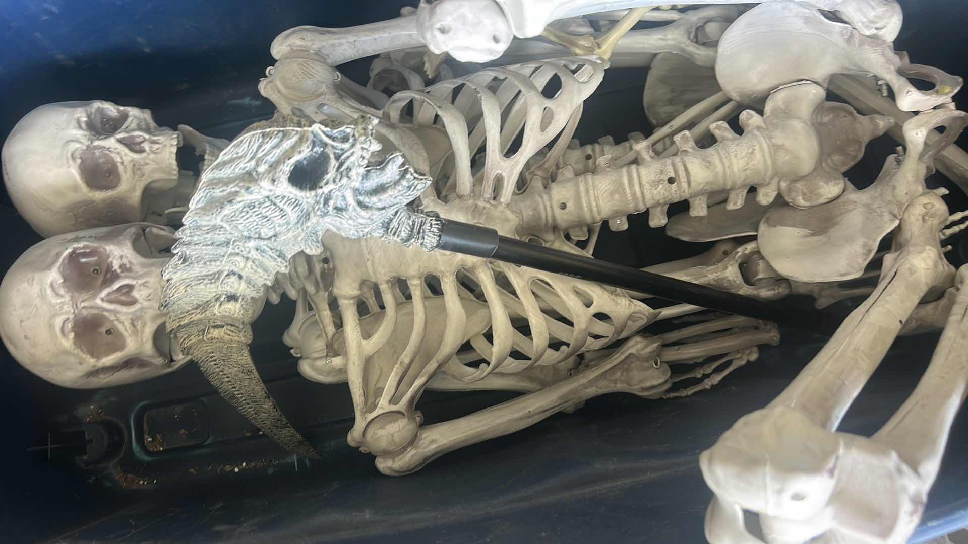 Photo 1 of TOTE- SCARY HALLOWEEN DECORATIONS - 2 LIFE SIZE SKELETONS & CAT SKELETON & A BAG OF FABRIC