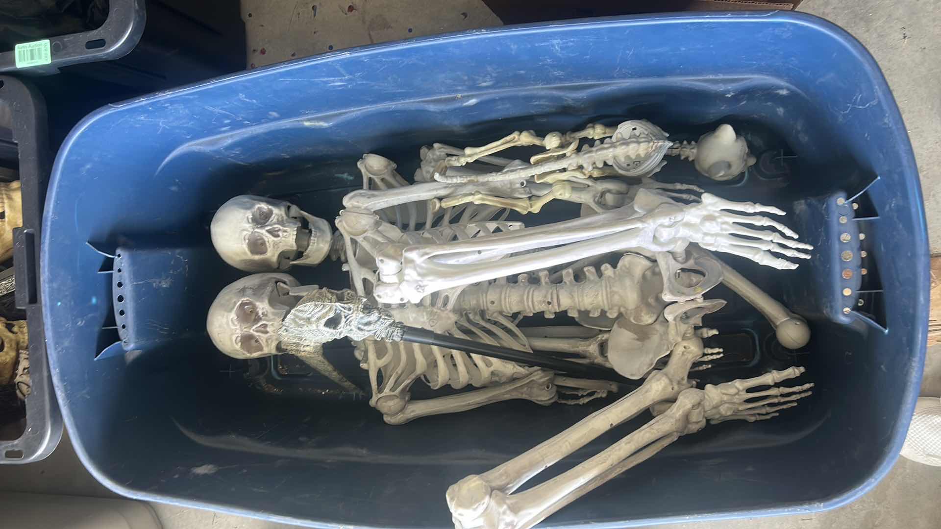 Photo 1 of TOTE- SCARY HALLOWEEN DECORATIONS - 2 LIFE SIZE SKELETONS & CAT SKELETON & A BAG OF FABRIC