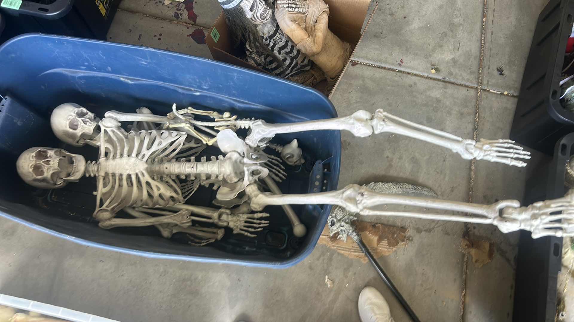 Photo 1 of TOTE- SCARY HALLOWEEN DECORATIONS - 2 LIFE SIZE SKELETONS & CAT SKELETON & A BAG OF FABRIC