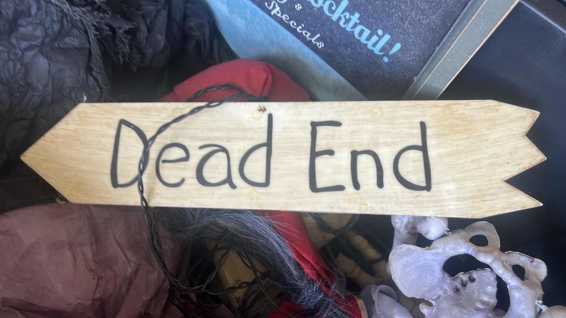 Photo 1 of TOTE- SCARY HALLOWEEN DECORATIONS