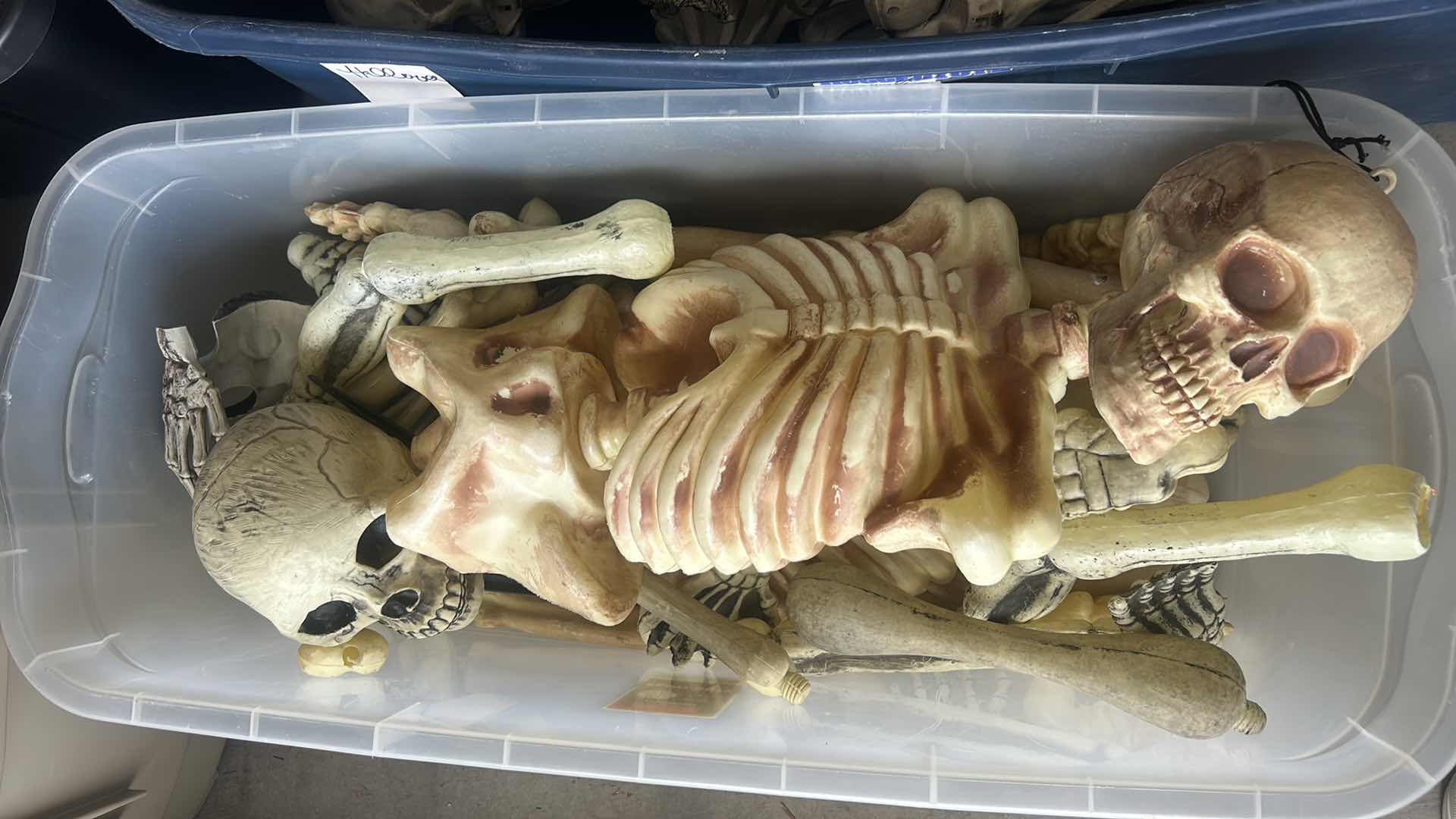 Photo 1 of TOTE- SCARY HALLOWEEN DECORATIONS