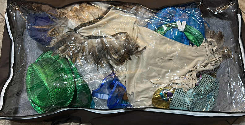 Photo 1 of ZIP UP GARMENT BAG WITH HALLOWEEN COSTUMES AND ACCESSORIES