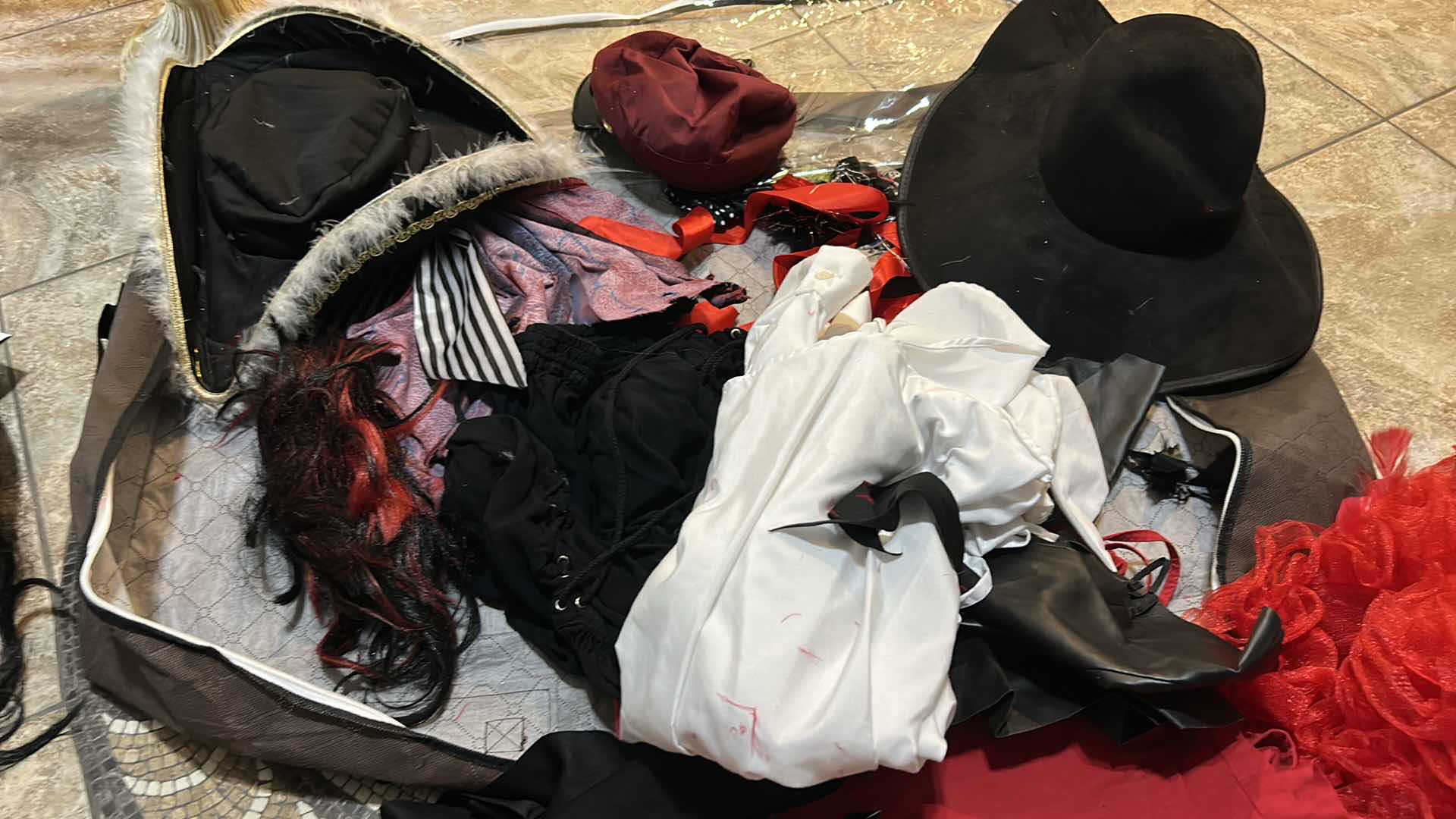 Photo 1 of ZIP UP GARMENT BAG WITH HALLOWEEN COSTUMES AND ACCESSORIES