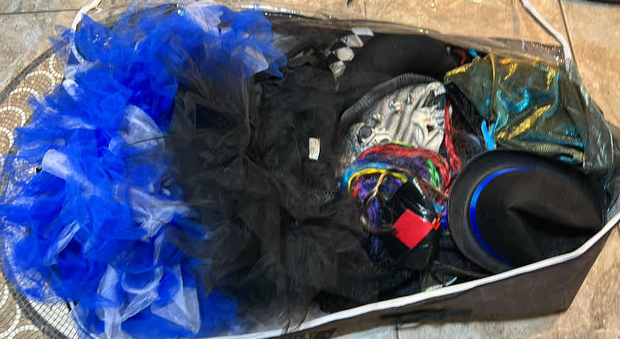 Photo 1 of ZIP UP GARMENT BAG WITH HALLOWEEN COSTUMES AND ACCESSORIES