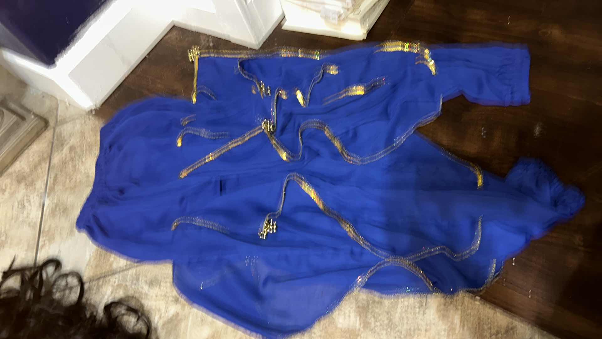Photo 1 of ZIP UP GARMENT BAG WITH HALLOWEEN COSTUMES AND ACCESSORIES