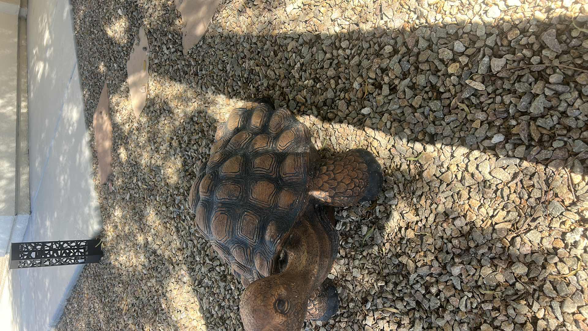 Photo 1 of VERY HEAVY OUTDOOR CONCRETE TURTLE 25” x 17” x H13”