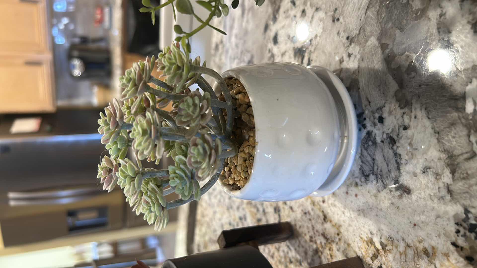 Photo 1 of 4 FAUX SUCCULENTS HOME DECOR PIECES. H6”