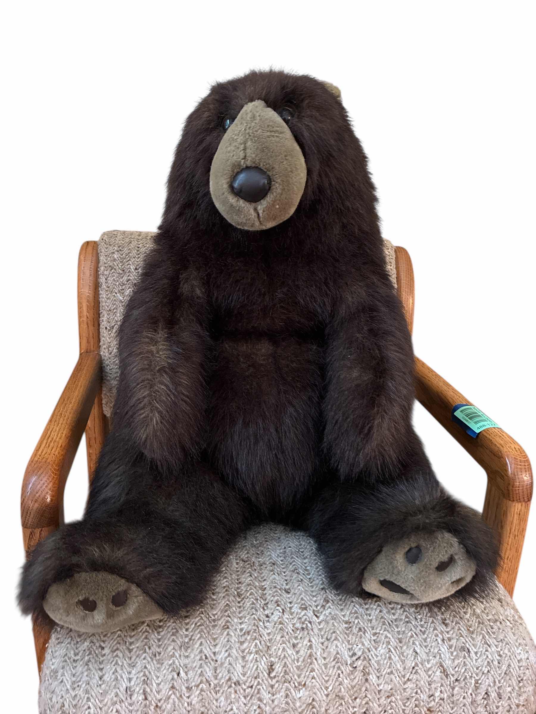 Photo 1 of COLLECTABLE PLUSH BEAR H20”