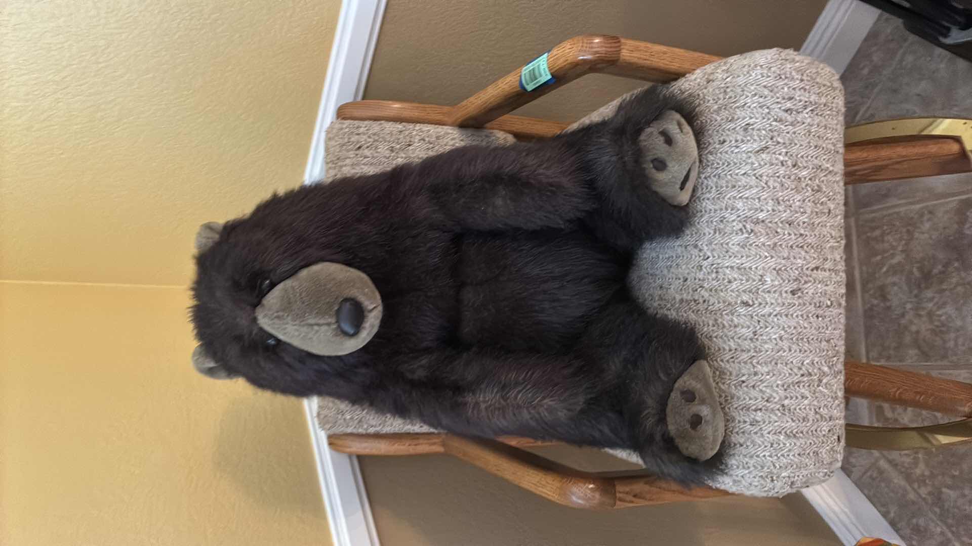 Photo 1 of COLLECTABLE PLUSH BEAR H20”