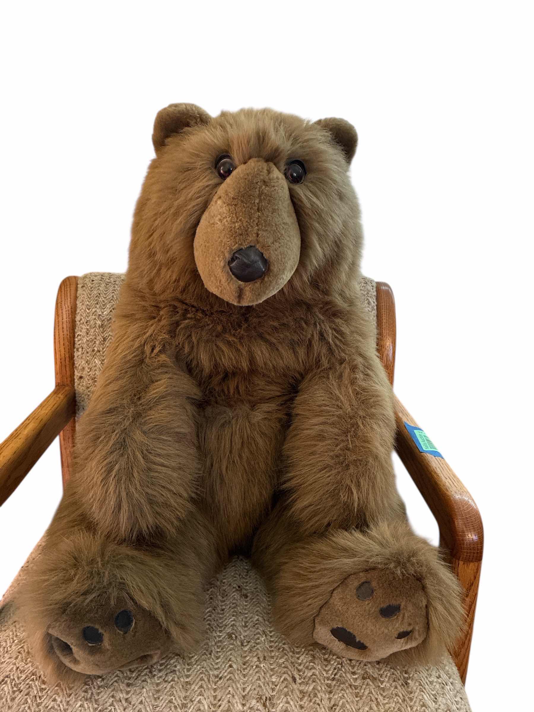 Photo 1 of COLLECTABLE PLUSH BEAR H20”