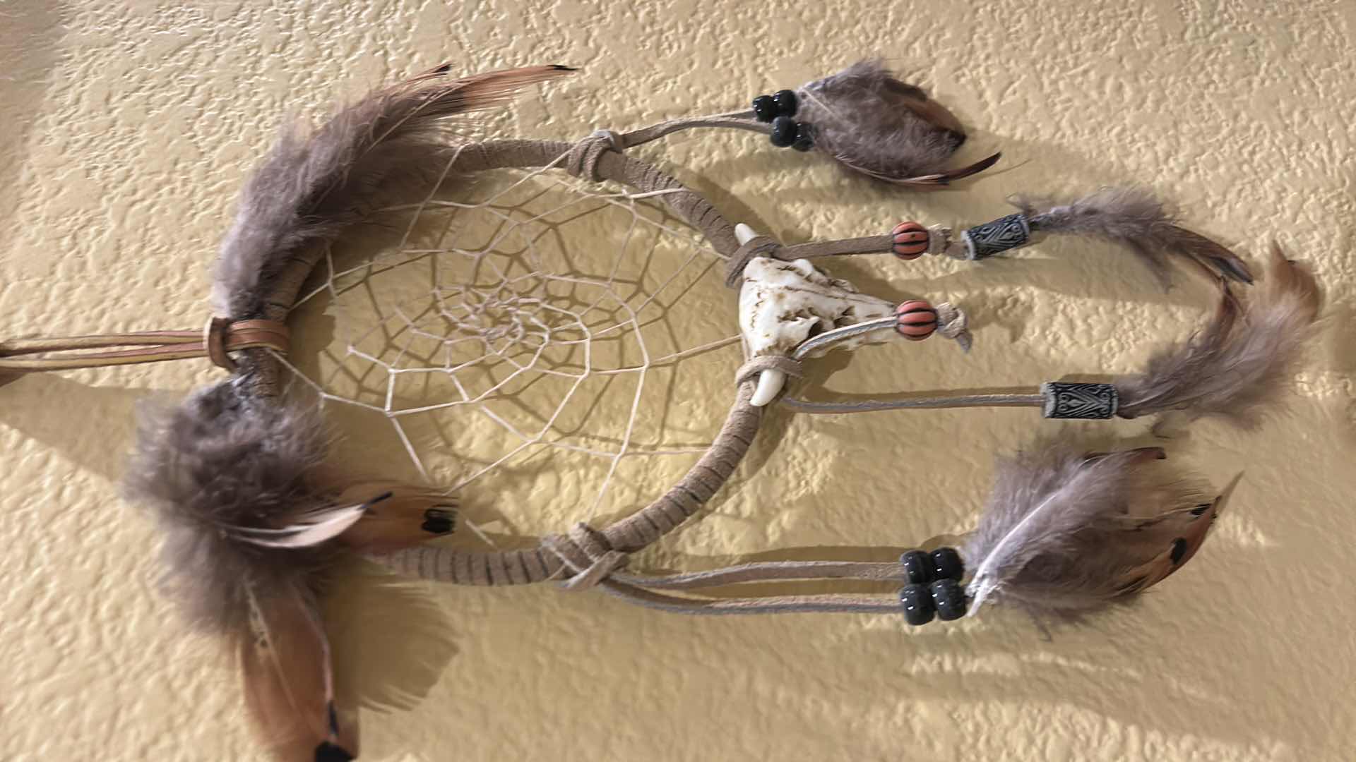 Photo 1 of DREAMCATCHER H13”