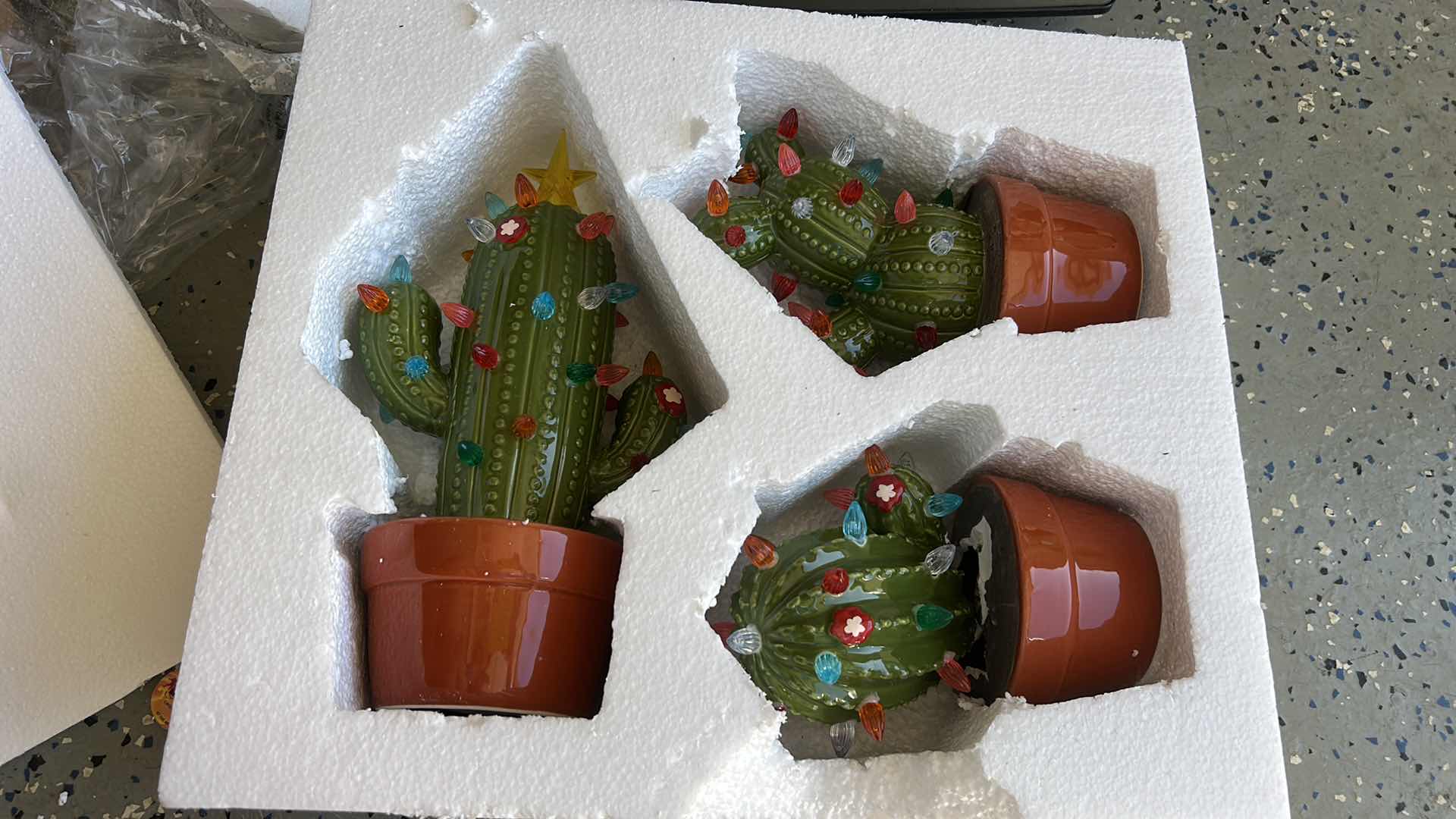 Photo 1 of 3 LIGHTED CHRISTMAS CACTI (TALLEST H 12”)