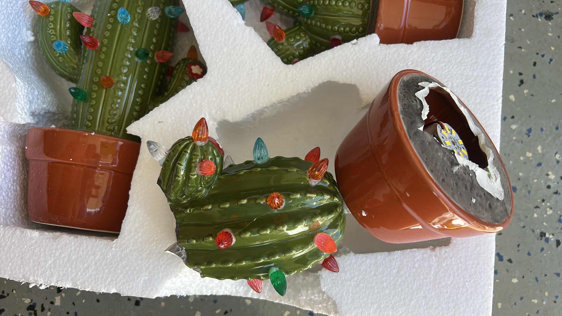 Photo 1 of 3 LIGHTED CHRISTMAS CACTI (TALLEST H 12”)