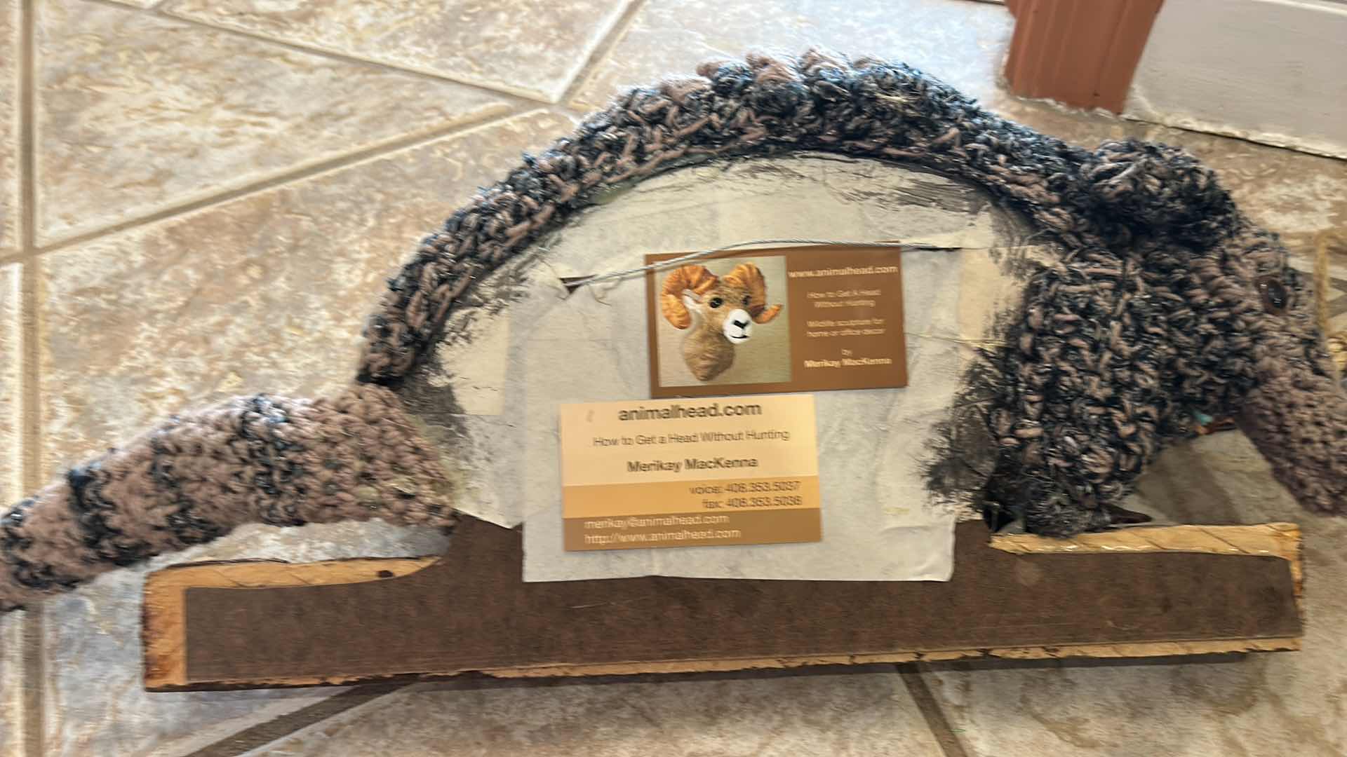 Photo 1 of ARMADILLO COLLECTION