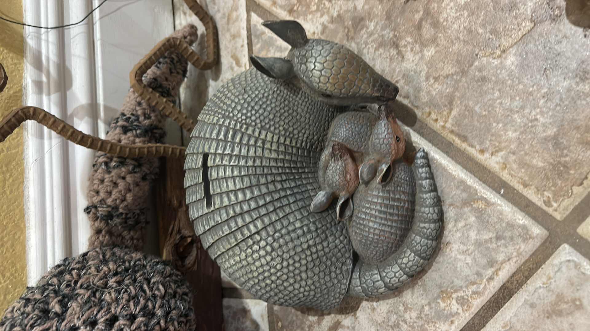 Photo 1 of ARMADILLO COLLECTION