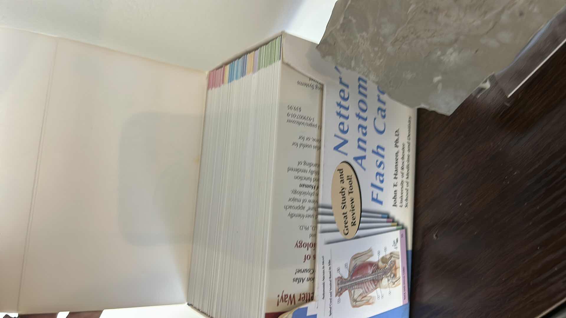 Photo 1 of FOSSIL AND NETTERS ANATOMY FLASH CARDS