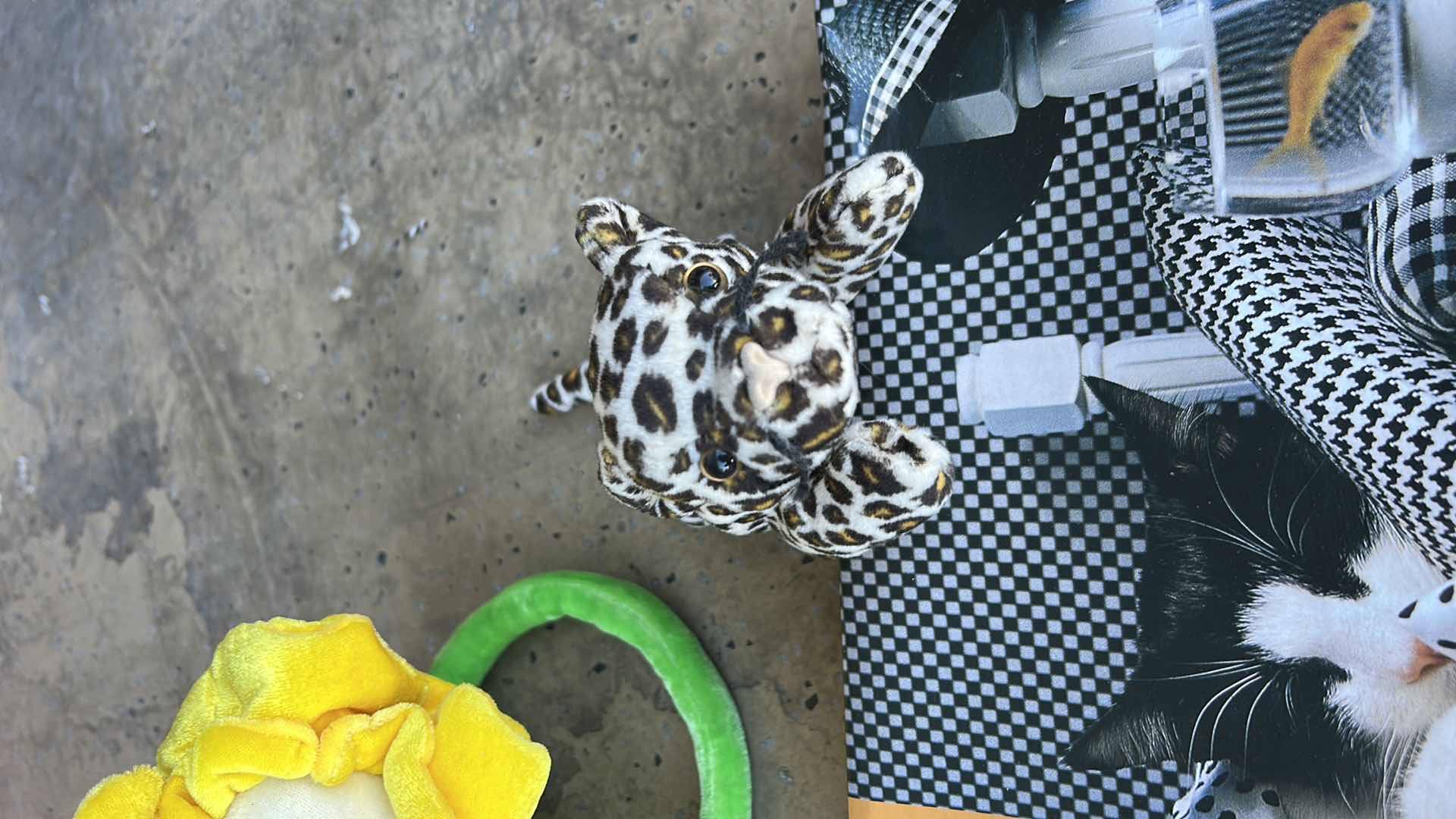 Photo 1 of PUZZLE, LOUISVILLE SLUGGER TEE BALL BAT AND MORE