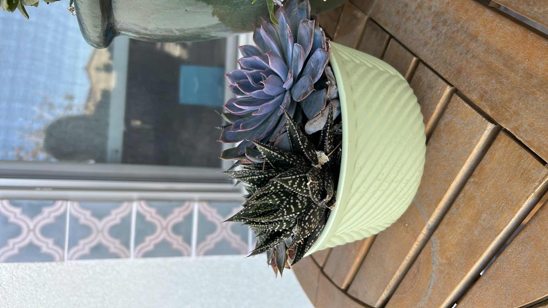 Photo 1 of 2- POTTED PLANTS