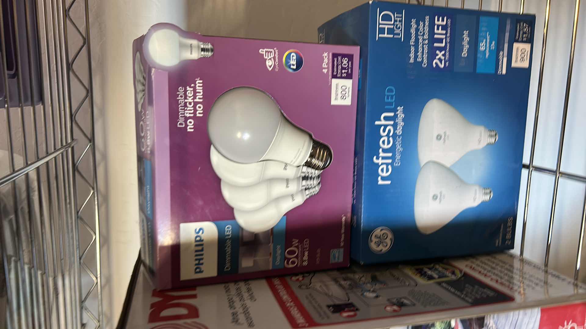 Photo 1 of DYNA TRAP AND LIGHTBULBS