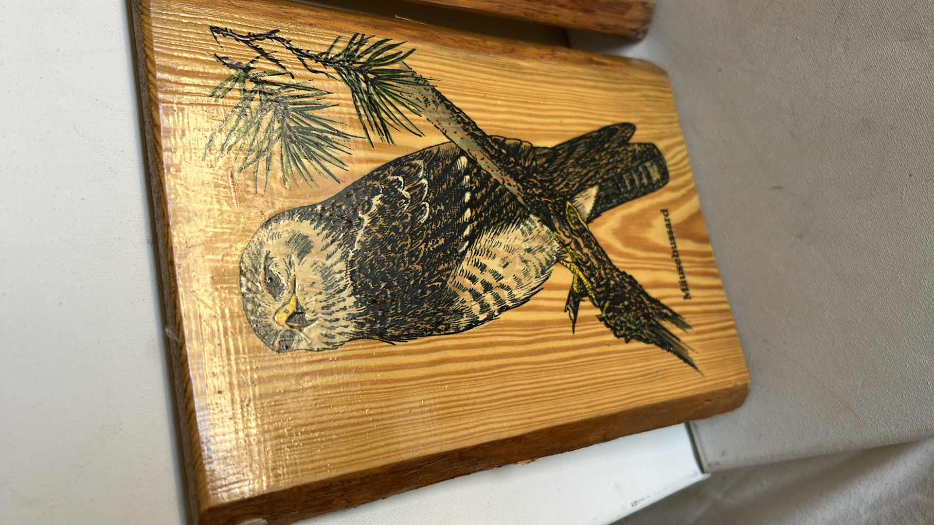 Photo 1 of SET OF TWO WOOD DECORATIVE PLAQUES. FEATURE PRINTED WILDLIFE ARTWORK,INCLUDING A BIRD AND A DEER. NATURAL WOOD FINISH (TALLEST H18”)