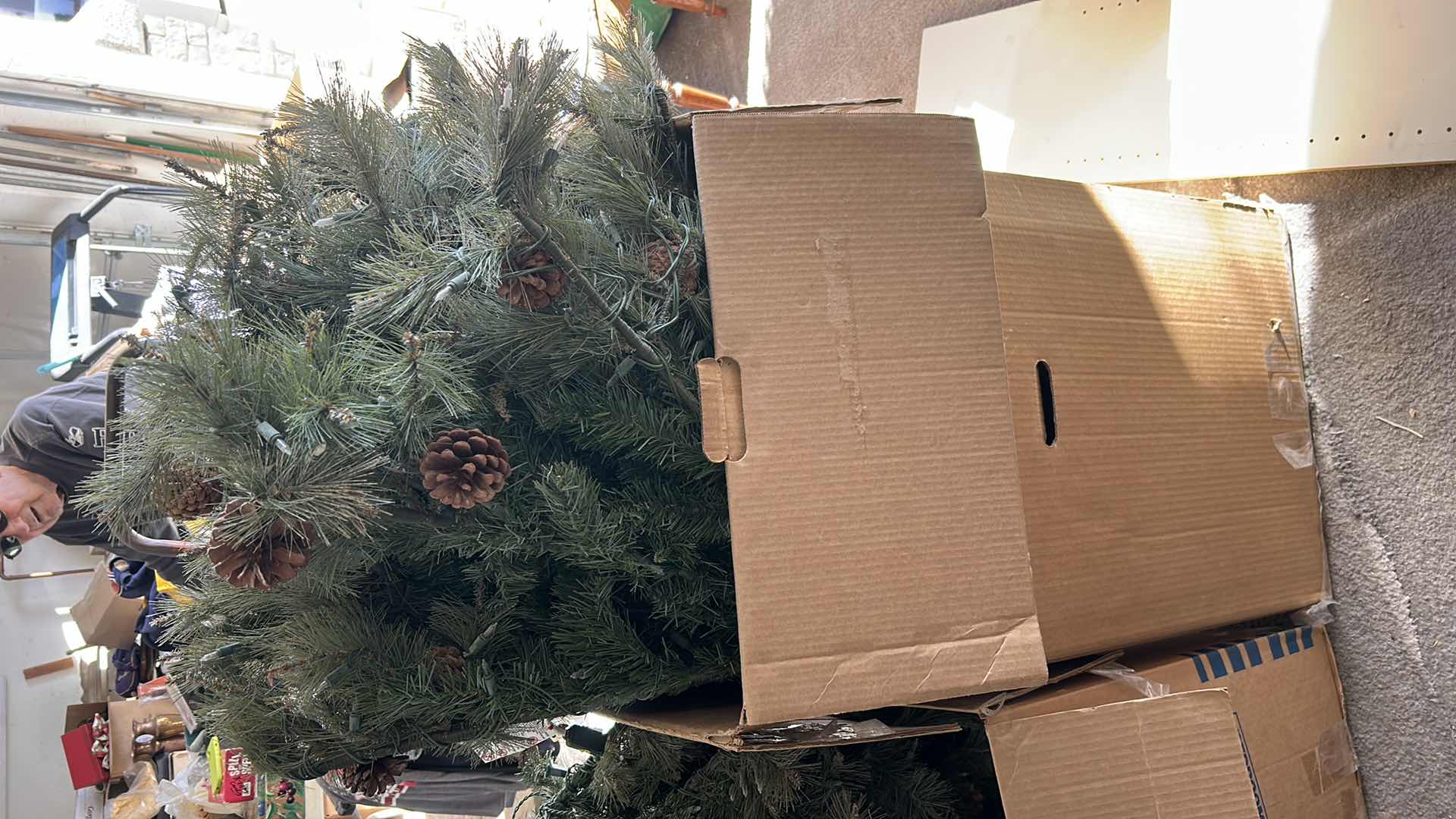 Photo 1 of CHRISTMAS TREE & CHRISTMAS DECOR