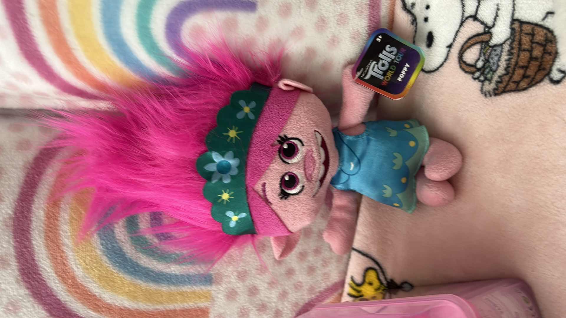 Photo 1 of GIRLS ROOM ASSORTMENT