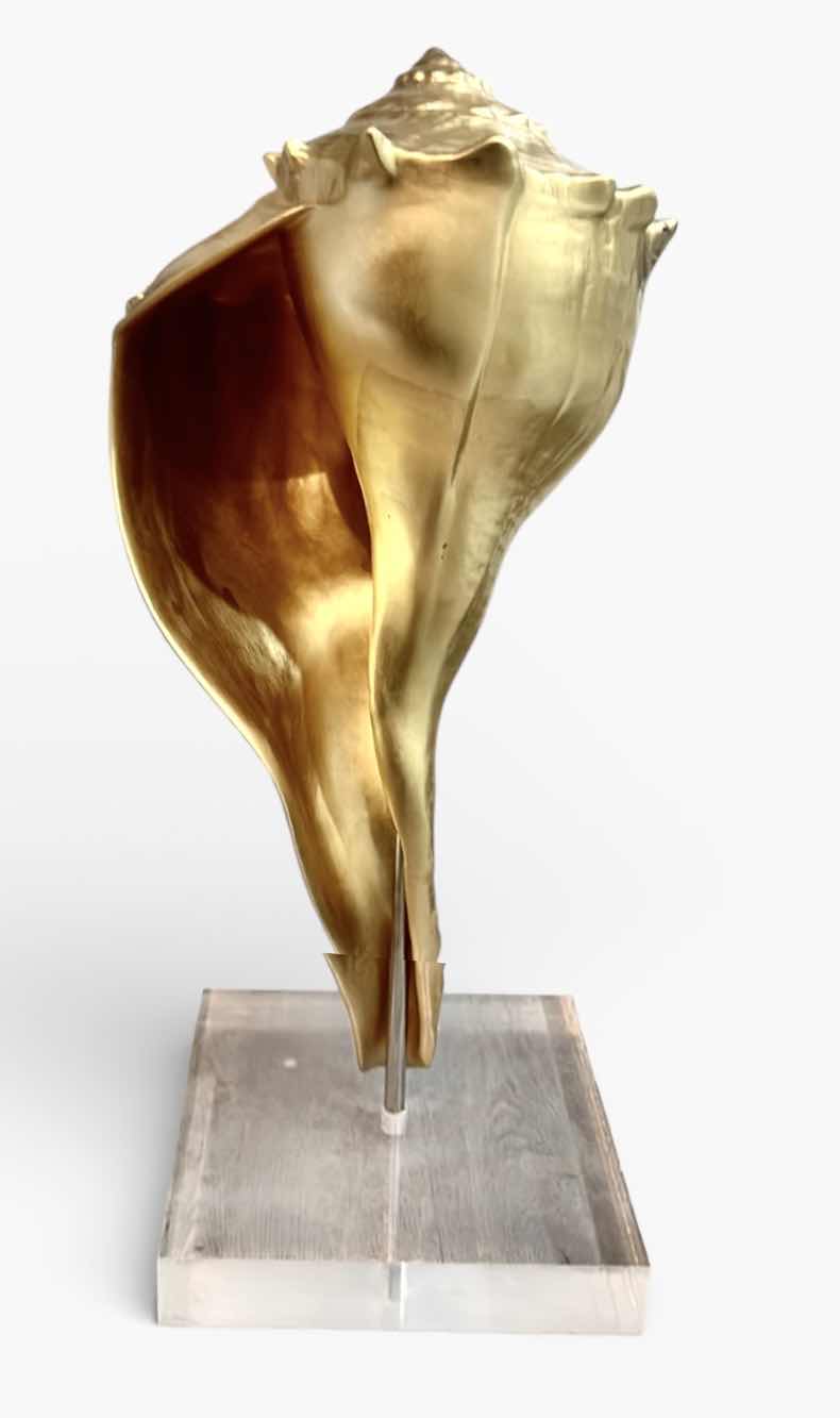 Photo 1 of VERY HEAVY APPROX 34” HIGH MOUNTED GOLD SEASHELL DESIGN DECOR