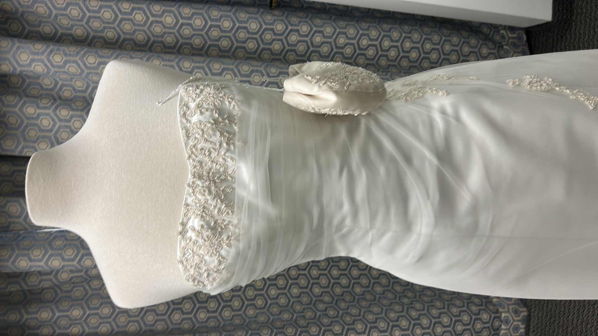 Photo 1 of BRIDAL GOWN, MAGGIE SOTTERO, ONE-PIECE A-LINE STRAPLESS WEDDING GOWN WITH COVERED BUTTONS OVER INNER CLOSURE, TULLE OVERLAY WITH DELICATE LACE, DIAMOND WHITE/CHAMPAGNE, SIZE 8/10, 