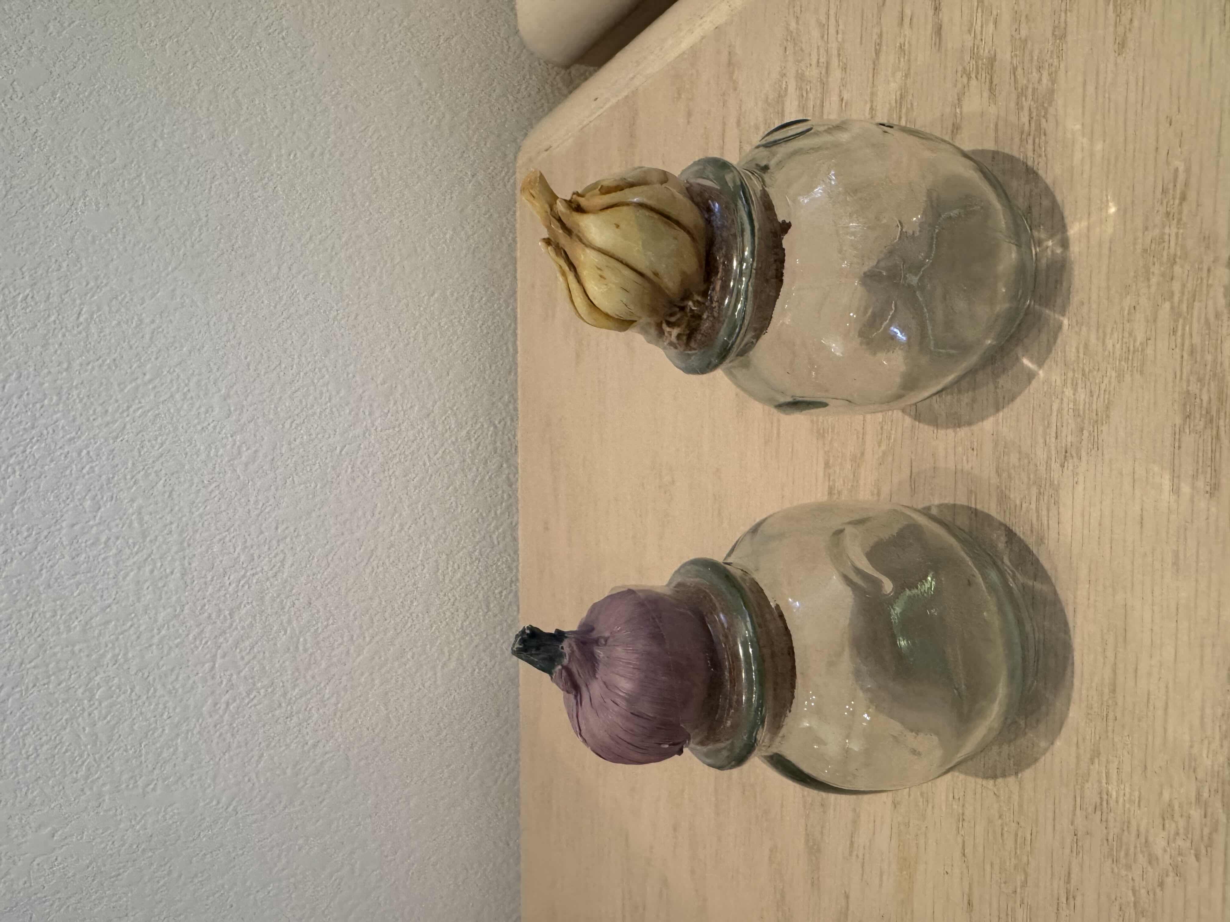 Photo 1 of VINTAGE ASSORTED GLASS SPICE JARS, 7 PIECES

H4”