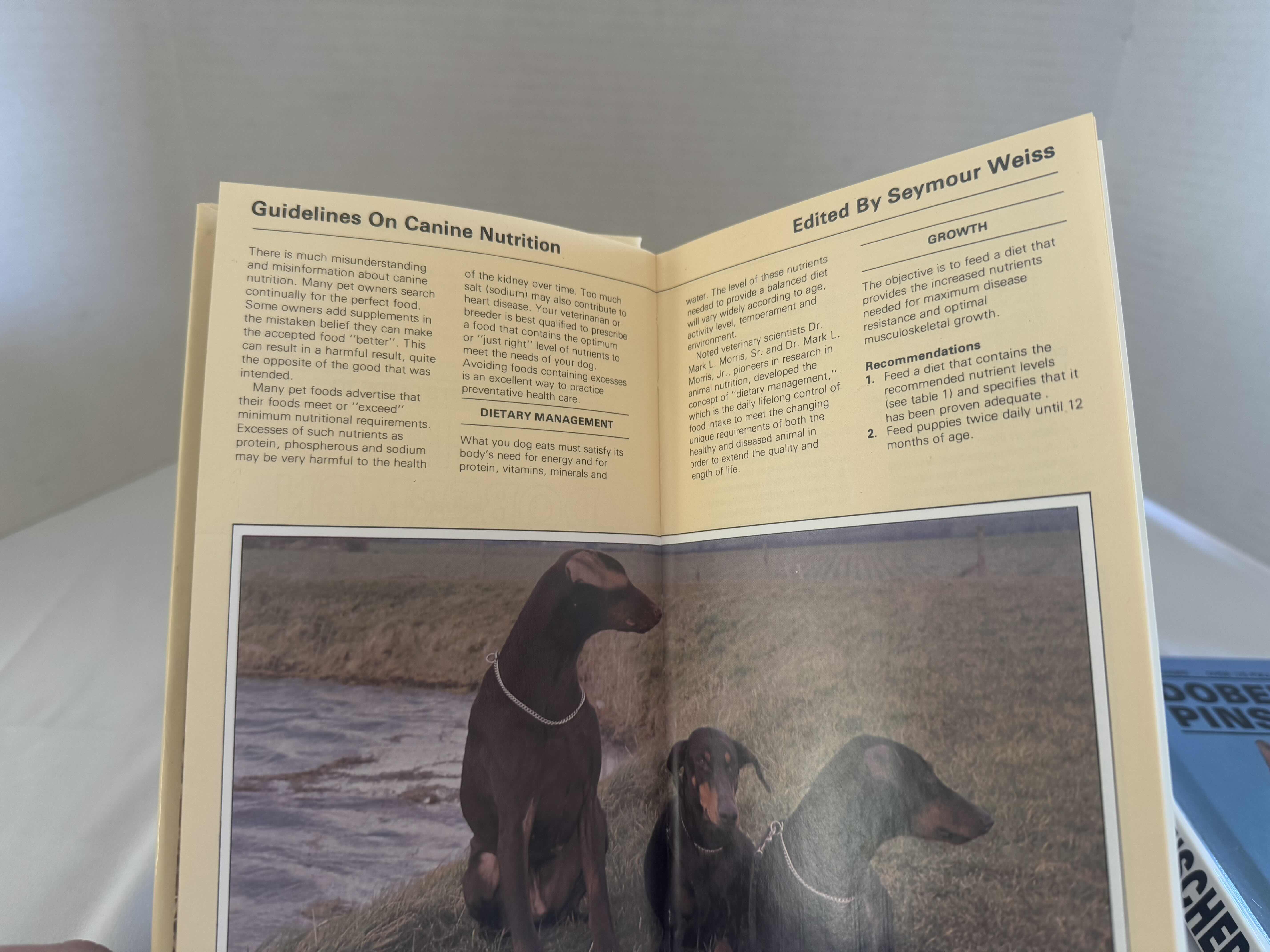 Photo 1 of 6- DOBERMAN PINSCHER BOOKS