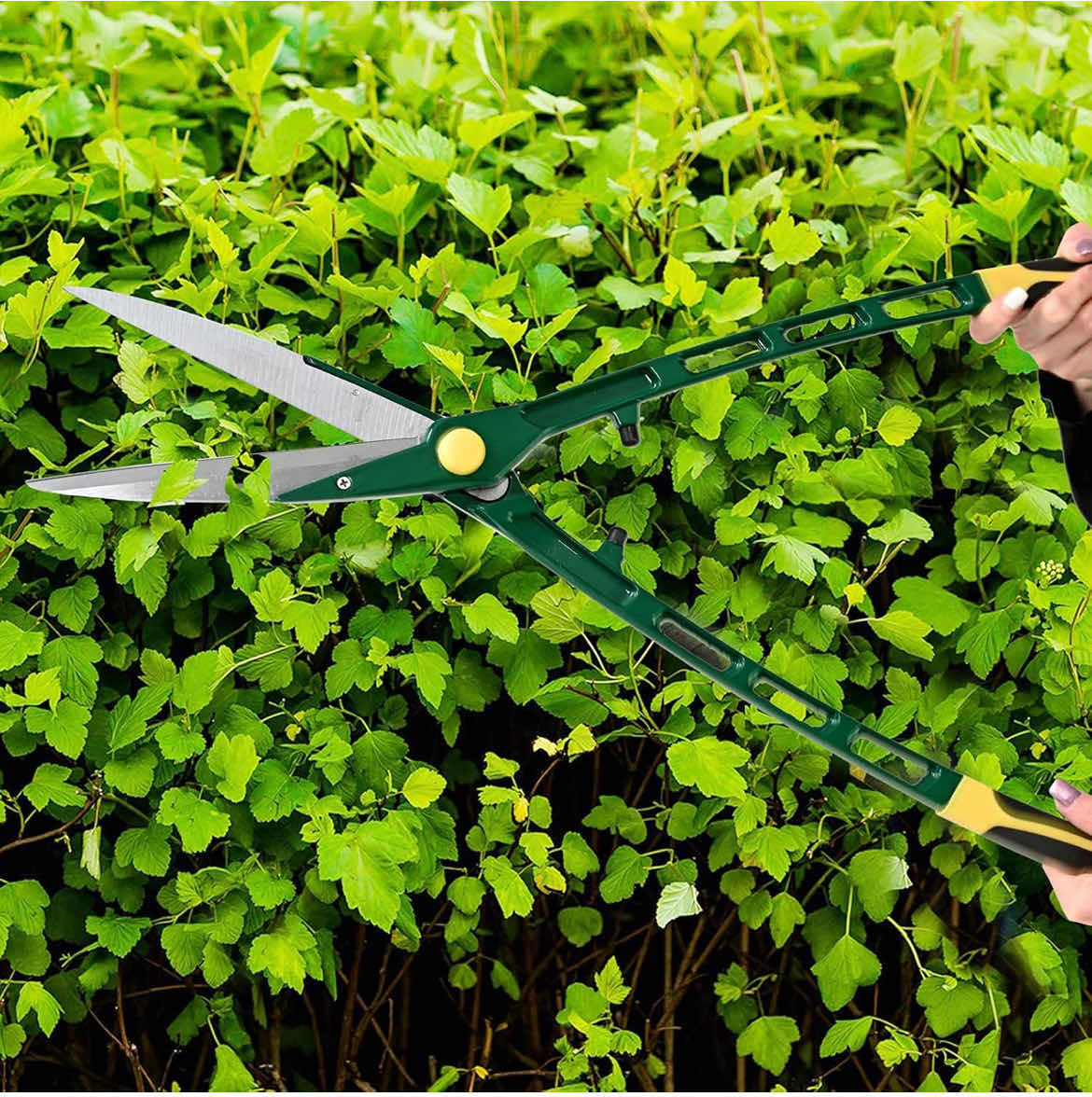 Photo 2 of LIGHTWEIGHT HEDGE SHEARS FOR GARDEN, SMALL YARD TRIMMING CLIPPER FOR BUSHES AND SHRUBS, PRUNING SHEARS FOR GARDENING, PLANT CLIPPERS, WEIGH LESS THAN 2 LBS, 26 ½” L, GREEN