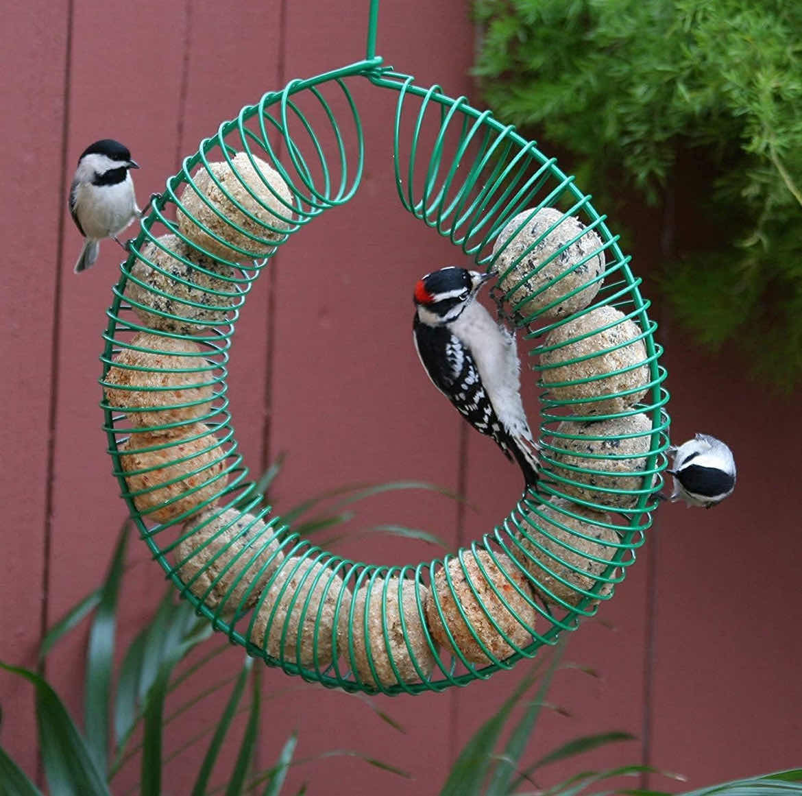 Photo 1 of 18 CASES OF 12 HOME-X PEANUT BIRD FEEDER WREATH FEEDERS FOR OUTSIDE