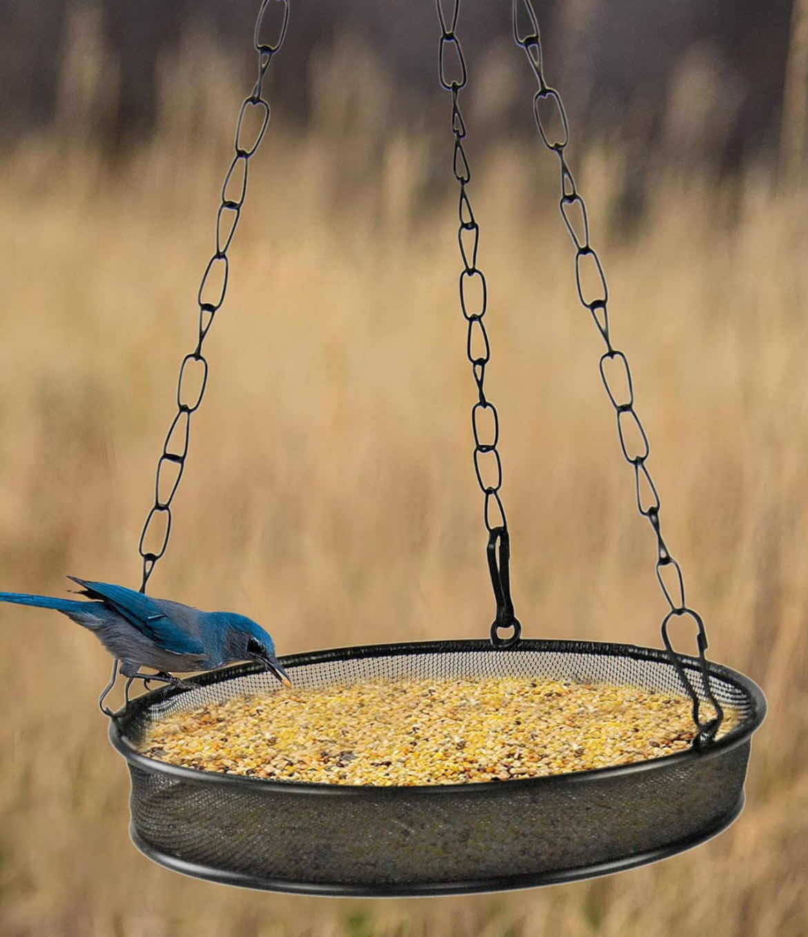 Photo 3 of CASE OF 20 HOME-X ROUND MESH HANGING BIRD FEEDER, EASY-FILL OUTDOOR BIRD FEEDER, SHALLOW OPEN DISH WITH 7-INCH DIAMETER, 16 1/2" L X 7" W X 1" H, BLACK