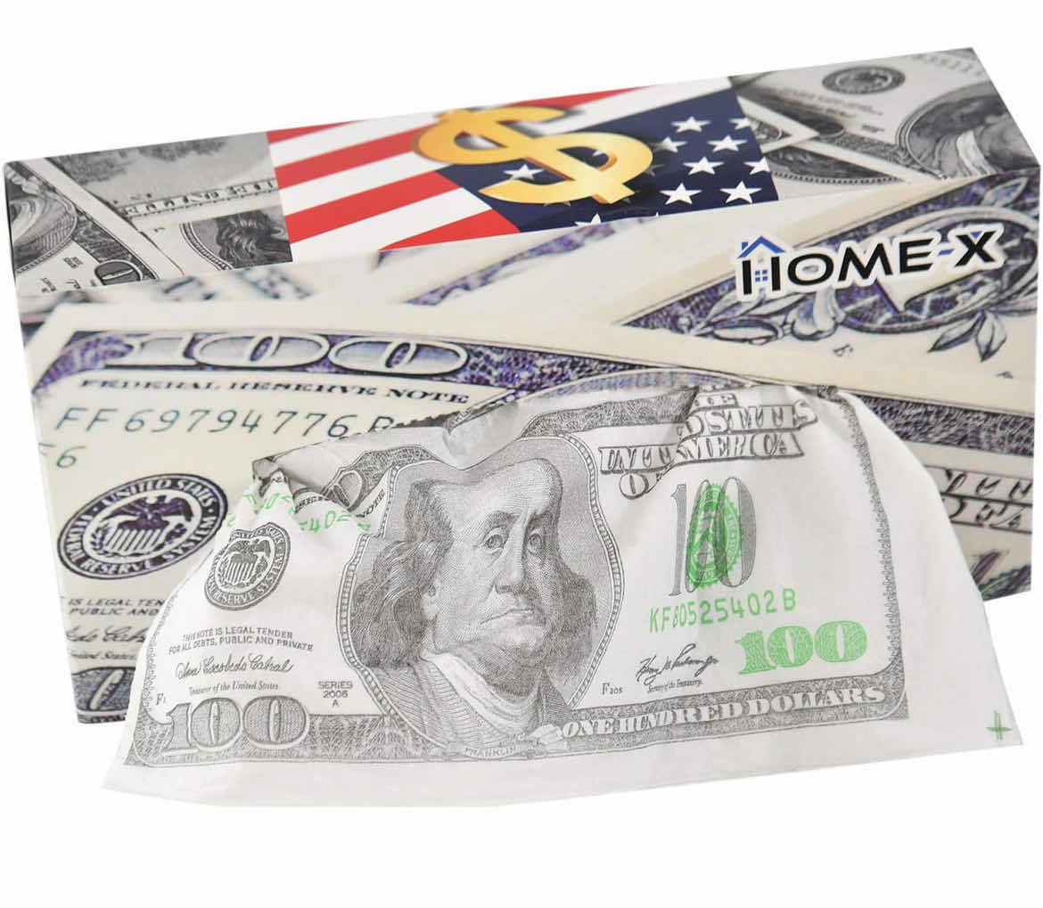 Photo 1 of HOME X $100 DOLLAR BILL BOX OF 3PLY TISSUES (1CASE/24PCS)