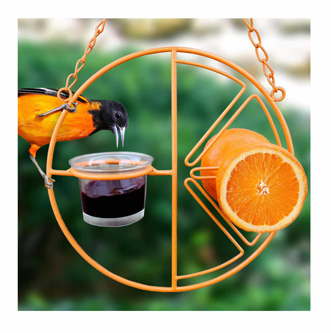 Photo 2 of NEW CASE OF HOME-X ORIOLE 2 IN 1 HANGING BIRD FEEDER W GLASS DISH, ORANGE (28 PCS/CASE)