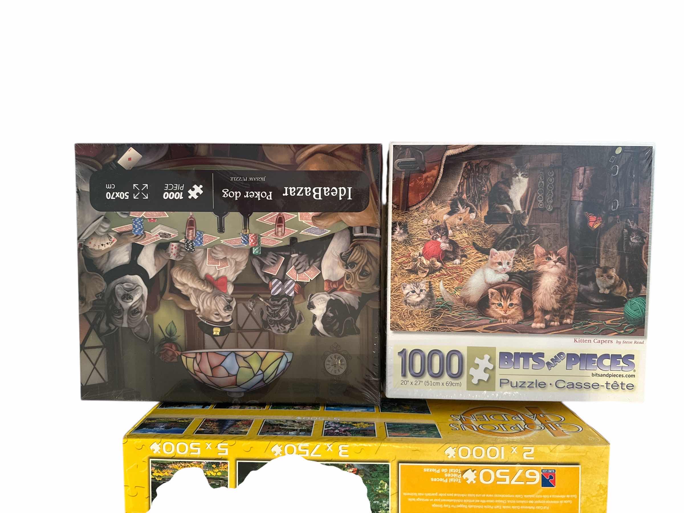 Photo 1 of 12 PUZZLES