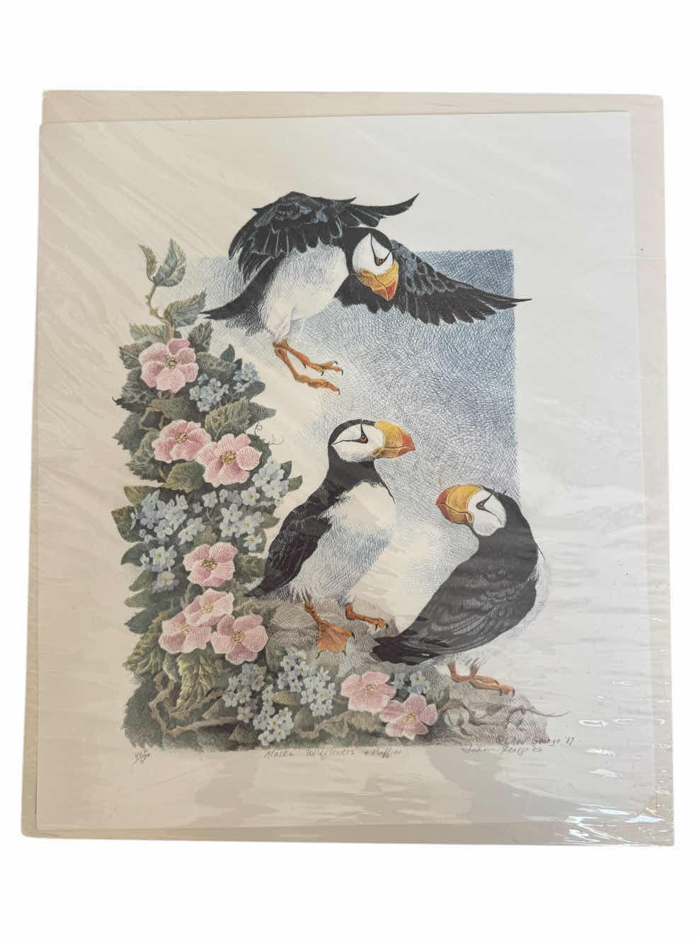Photo 1 of 190
VINTAGE SIGNED ALASKA WILDFLOWERS + PUFFINS, JOANN GEORGE, 1987. NUMBERED 402/500
AND 1992 ALASKA PUFFIN BY BRIAN MECHANIC. ARTWORK, HOME DECOR, ART COLLECTION

16” X 19” X H.25”