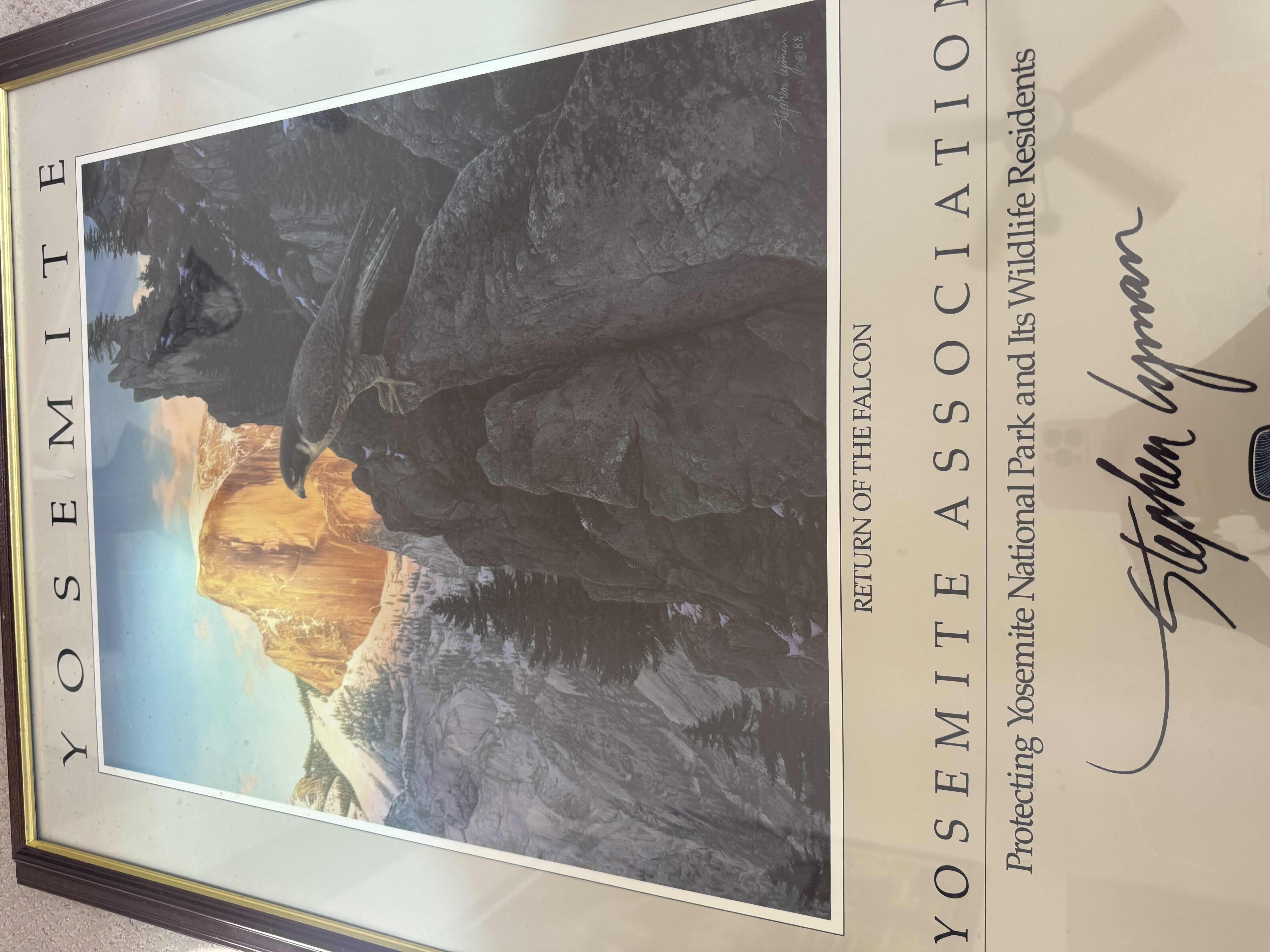 Photo 1 of 175
VINTAGE WOOD FRAMED ARTWORK, “RETURN OF THE FALCON” YOSEMITE ASSOCIATION PROTECTING YOSEMITE NATIONAL PARK AND ITS WILDLIFE RESIDENTS BY STEPHEN LYMAN, 1988. 

28” X 40” X H2”